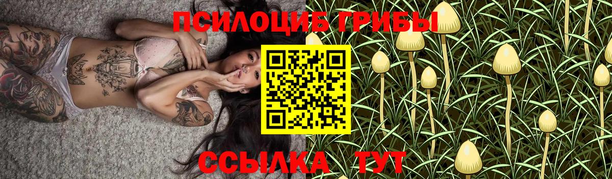 Псилоцибиновые грибы мицелий Карталы